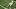 Dec 31, 2015; Arlington, TX, USA; Michigan State Spartans punter Jake Hartbarger (25) punts during the first quarter against the Alabama Crimson Tide in the 2015 CFP semifinal at the Cotton Bowl at AT&T Stadium. Mandatory Credit: Erich Schlegel-USA TODAY Sports Dec 31, 2015; Arlington, TX, USA; Michigan State Spartans punter Jake Hartbarger (25) punts during the first quarter against the Alabama Crimson Tide in the 2015 CFP semifinal at the Cotton Bowl at AT&T Stadium. Mandatory Credit: Erich Schlegel-USA TODAY Sports