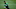 EPL DFS EPL DFS