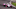 Helio Castroneves, IndyCar, Indy 500 Helio Castroneves, IndyCar, Indy 500