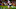 DENVER, CO – NOVEMBER 12: Running back Dion Lewis DENVER, CO – NOVEMBER 12: Running back Dion Lewis