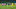 Tottenham, Dele Alli Tottenham, Dele Alli