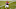 Chicago Bears, Dwayne Haskins
