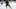 vancouver canucks vancouver canucks