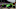 INDIANAPOLIS, IN – MAY 29: Danica Patrick, driver of the #7 Team GoDaddy Dallara Honda (Photo by Robert Laberge/Getty Images)