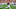 DraftKings DraftKings