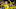 Erling Haaland scored a brace at the weekend (Photo by INA FASSBENDER/AFP via Getty Images) Erling Haaland scored a brace at the weekend (Photo by INA FASSBENDER/AFP via Getty Images)