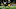 SOUTH BEND, IN – OCTOBER 28: Josh Adams SOUTH BEND, IN – OCTOBER 28: Josh Adams