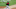 Milwaukee Brewers Milwaukee Brewers