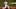 ST LOUIS – OCTOBER 27: Scott Rolen ST LOUIS – OCTOBER 27: Scott Rolen