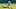 Green Bay Packers Green Bay Packers