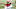 Cincinnati Bengals, 2021 NFL Draft