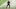 New England Patriots Cam Newton New England Patriots Cam Newton