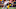 Nov 28, 2015; Ann Arbor, MI, USA; Michigan Wolverines wide receiver Jehu Chesson (86) can Nov 28, 2015; Ann Arbor, MI, USA; Michigan Wolverines wide receiver Jehu Chesson (86) can