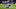 Leicester City