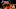 Portland Trail Blazers Portland Trail Blazers