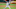 Chicago Cubs, Trevor Rosenthal Chicago Cubs, Trevor Rosenthal