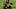 MLS Power Rankings: Portland Timbers (Mandatory Credit: Troy Wayrynen-USA TODAY Sports) MLS Power Rankings: Portland Timbers (Mandatory Credit: Troy Wayrynen-USA TODAY Sports)