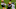 Green Bay Packers Green Bay Packers