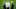 Ole Gunnar Solskjaer, Manager of Manchester United, Avram Glazer, owner of Manchester United Ole Gunnar Solskjaer, Manager of Manchester United, Avram Glazer, owner of Manchester United