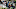 SEATTLE, WA – NOVEMBER 20: Quarterback Matt Ryan