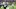 Green Bay Packers Green Bay Packers