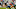 SANTA CLARA, CA – NOVEMBER 26: Quarterback Russell Wilson