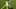 Green Bay Packers Green Bay Packers