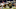 2021 NFL Season 2021 NFL Season