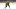Boston Bruins Boston Bruins
