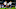 Tottenham Hotspur, Harry Kane, Dele Alli Tottenham Hotspur, Harry Kane, Dele Alli