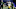 New York Giants
