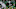 Dion Novil, North Texas football (Photo by Ronald Martinez/Getty Images) Dion Novil, North Texas football (Photo by Ronald Martinez/Getty Images)