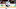 Boston Bruins Boston Bruins