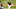 DraftKings DraftKings
