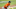 Cleveland Indians Cleveland Indians