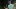 Sanderson Farms Championship, The Country Club of Jackson, PGA Tour, FedEx Cup, Ludvig Aberg, FedEx Fall