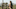 Fear The Walking Dead;AMC Fear The Walking Dead;AMC