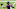 HOUSTON, TEXAS – OCTOBER 04: Deshaun Watson #4 of the Houston Texans warms up before playing the Minnesota Vikings at NRG Stadium on October 04, 2020, in Houston, Texas. (Photo by Bob Levey/Getty Images) HOUSTON, TEXAS – OCTOBER 04: Deshaun Watson #4 of the Houston Texans warms up before playing the Minnesota Vikings at NRG Stadium on October 04, 2020, in Houston, Texas. (Photo by Bob Levey/Getty Images)