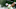 LIV Golf, LIV, LIV Golf Invitational, PGA Tour, Golf LIV Golf, LIV, LIV Golf Invitational, PGA Tour, Golf