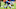 Dallas Cowboys