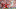 Liverpool Player Ratings
