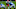 Florida football Florida football