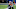 New England Patriots New England Patriots