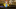 Phoenix-Wright-DualDestinies Phoenix-Wright-DualDestinies