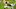 ATLANTA, GA – SEPTEMBER 22: Travis Etienne #9 of the Clemson Tigers carries the ball against Jalen Johnson #23 of the Georgia Tech Yellow Jackets on September 22, 2018 in Atlanta, Georgia. (Photo by Scott Cunningham/Getty Images) ATLANTA, GA – SEPTEMBER 22: Travis Etienne #9 of the Clemson Tigers carries the ball against Jalen Johnson #23 of the Georgia Tech Yellow Jackets on September 22, 2018 in Atlanta, Georgia. (Photo by Scott Cunningham/Getty Images)