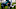 Philadelphia Eagles Philadelphia Eagles