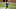 2022 NFL mock draft 2022 NFL mock draft