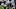 dallas cowboys dallas cowboys