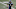 SEATTLE, WASHINGTON – JANUARY 09: Russell Wilson #3 of the Seattle Seahawks (Photo by Steph Chambers/Getty Images) SEATTLE, WASHINGTON – JANUARY 09: Russell Wilson #3 of the Seattle Seahawks (Photo by Steph Chambers/Getty Images)