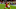Toronto FC